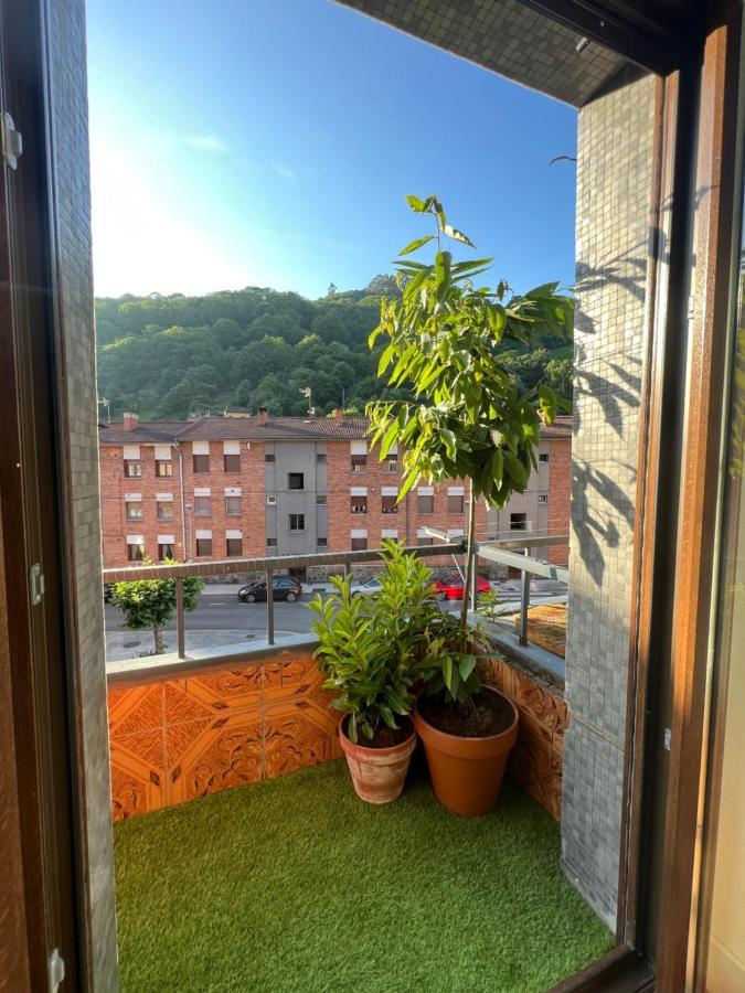 Mountain View Apartment Mieres  Εξωτερικό φωτογραφία