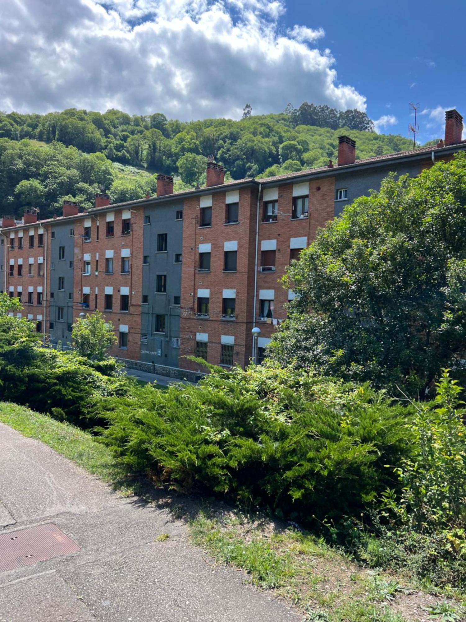 Mountain View Apartment Mieres  Εξωτερικό φωτογραφία