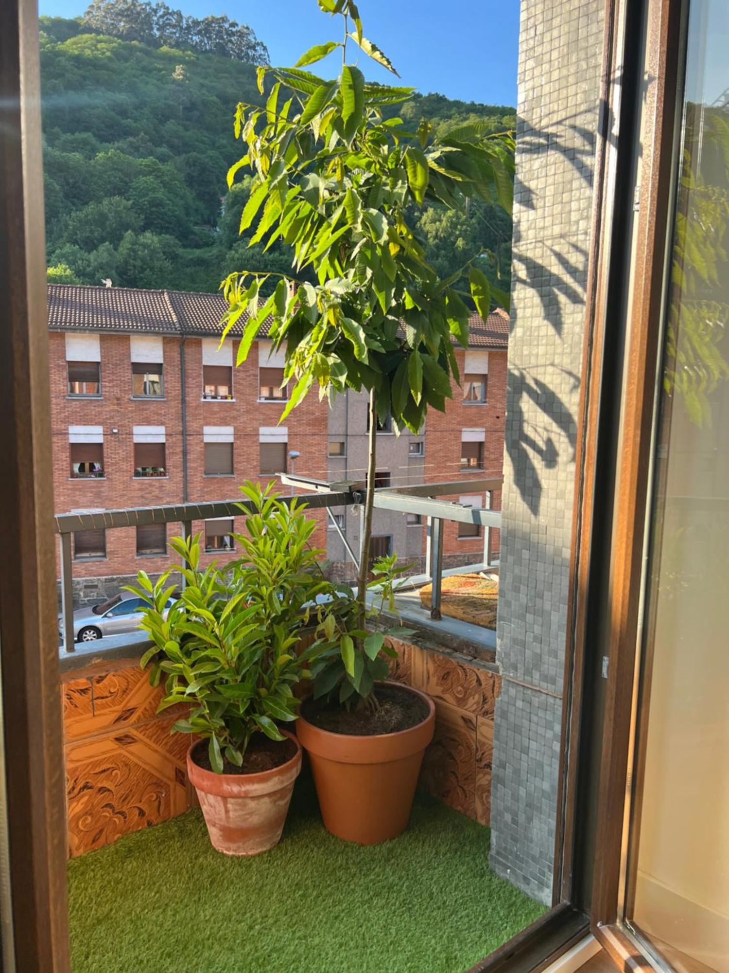 Mountain View Apartment Mieres  Εξωτερικό φωτογραφία